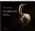 Speedy Füllemann | Grindelwald - • WEBER VERLAG