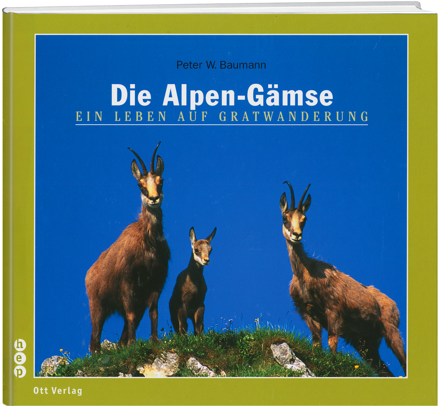 Peter W. Baumann | Die Alpen-Gämse - • WEBER VERLAG