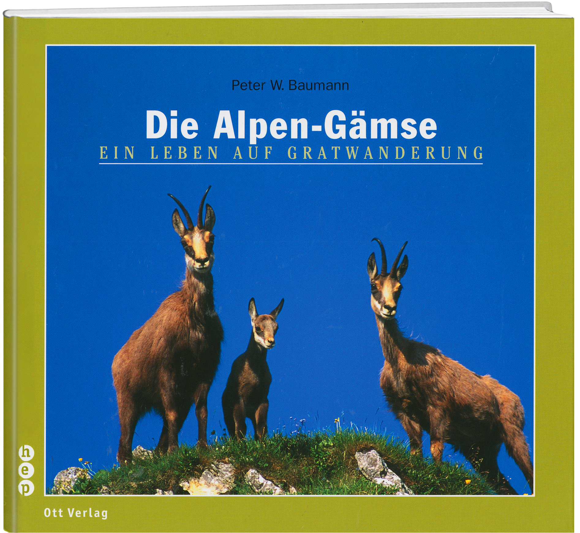 Peter W. Baumann | Die Alpen-Gämse - • WEBER VERLAG