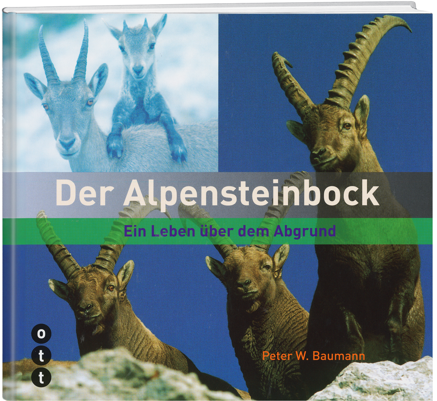 Peter W. Baumann |  Der Alpensteinbock - • WEBER VERLAG