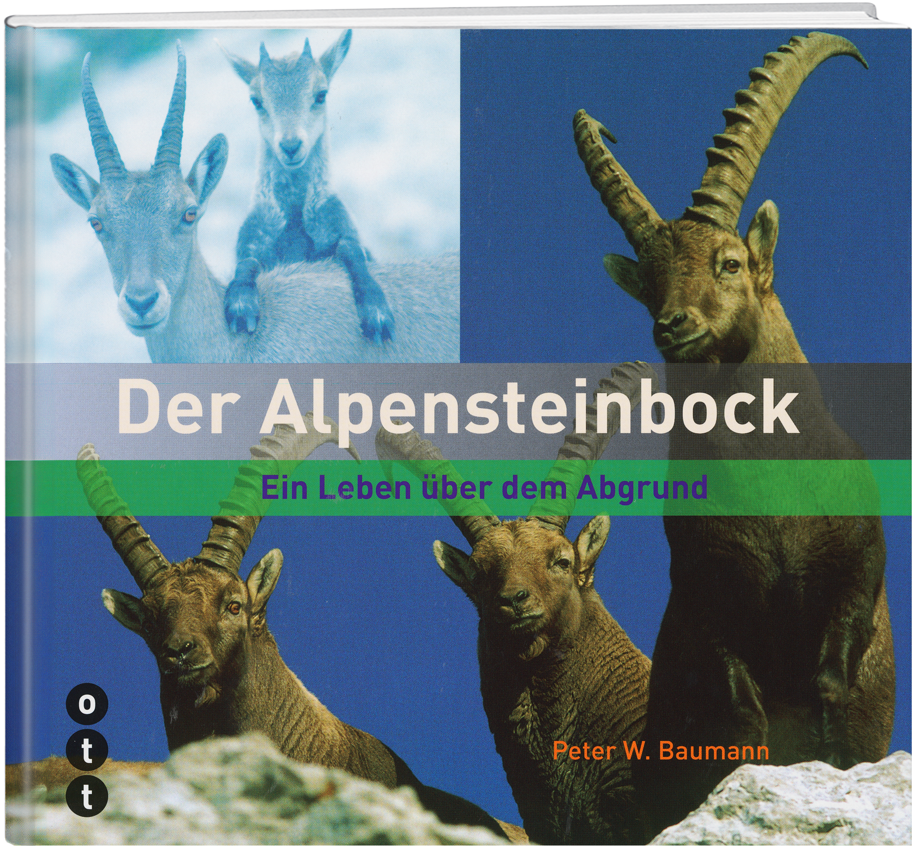 Peter W. Baumann |  Der Alpensteinbock - • WEBER VERLAG