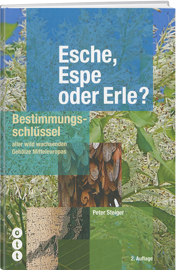Peter Steiger | Esche, Espe oder Erle (Bestimmungsschlüssel) - • WEBER VERLAG