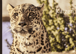Jürg Krompholz: Katzen - A WEBER VERLAG
