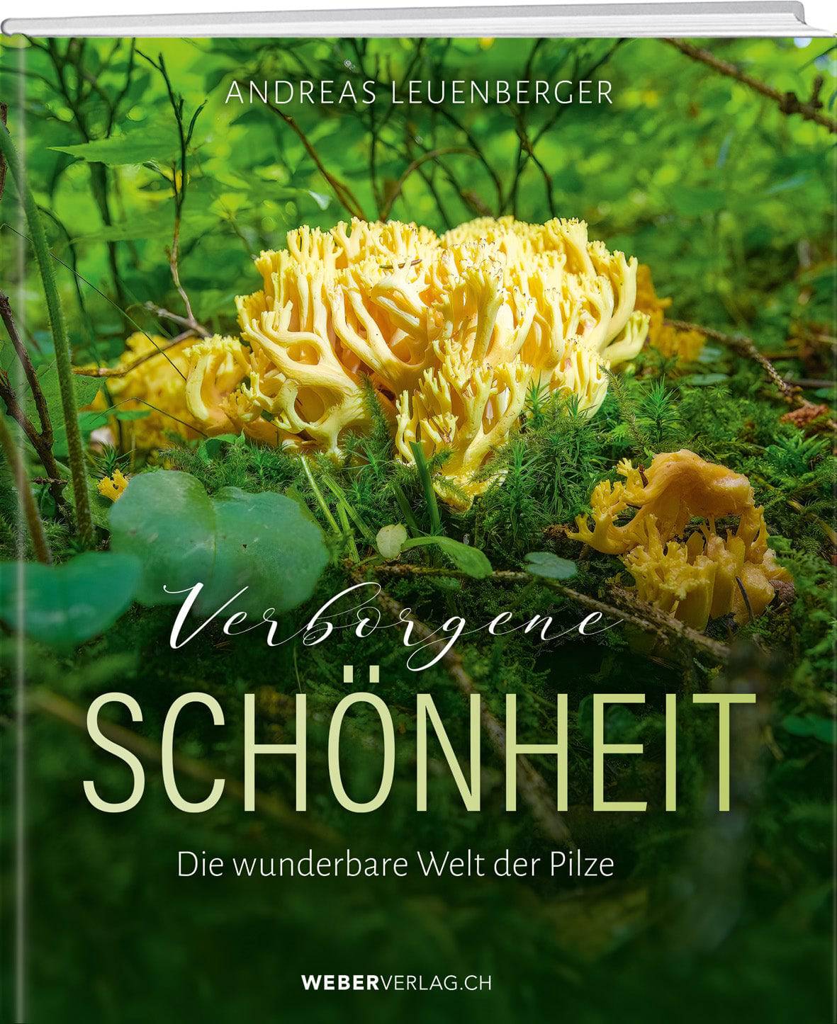 Andreas Leuenberger | Verborgene  Schönheit - • WEBER VERLAG