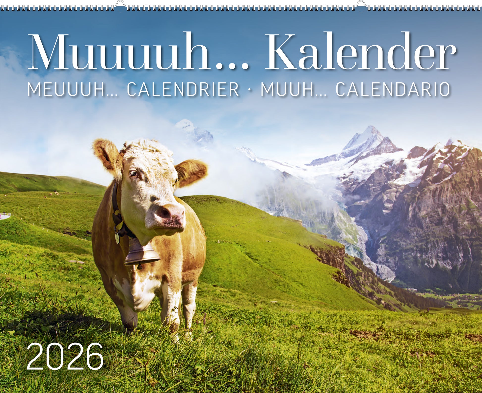 Kuhkalender Muuuuh … 2026 - • WEBER VERLAG