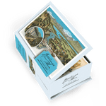 Postkartenbox Greetings from Thun - • WEBER VERLAG