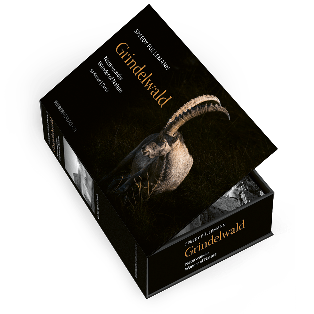 Speedy Füllemann | Postkartenbox Grindelwald - • WEBER VERLAG