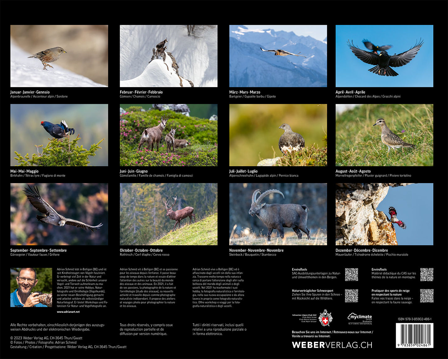 Tiere der Alpen – Kalender 2024 - A WEBER VERLAG