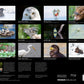 Tierporträts – Kalender 2024 - A WEBER VERLAG