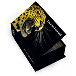 Postkartenbox Locarno Festival - • WEBER VERLAG