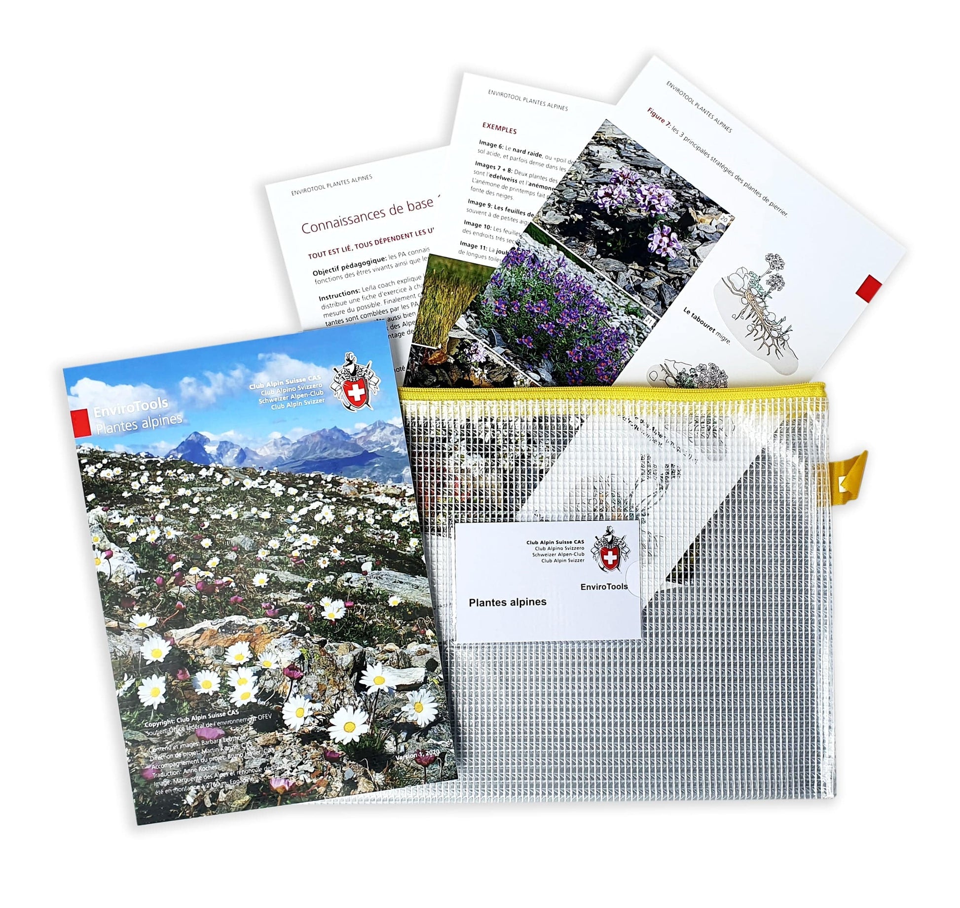 EnviroTool | Plantes alpines - • WEBER VERLAG