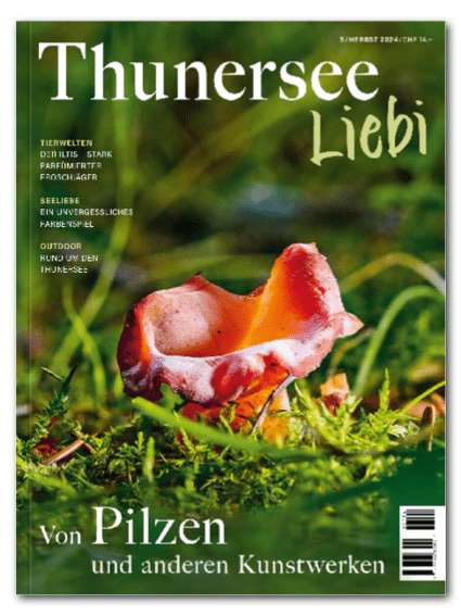 Einzelausgaben ThunerseeLiebi - • WEBER VERLAG