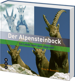 Peter W. Baumann | Der Alpensteinbock - • WEBER VERLAG
