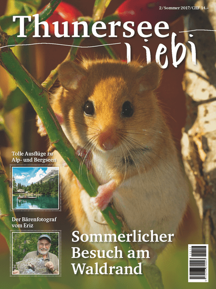 Thunersee Liebi 2/17 - A WEBER VERLAG