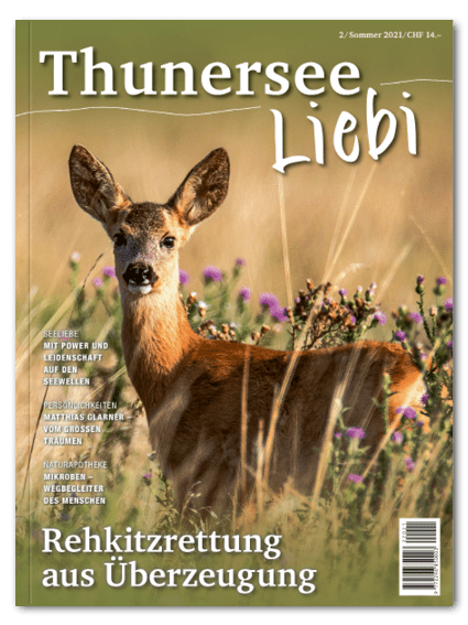 Thunersee Liebi 2/21 - A WEBER VERLAG