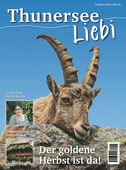 Thunersee Liebi 3/15 - A WEBER VERLAG
