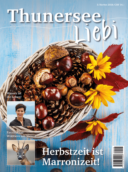 Thunersee Liebi 3/18 - A WEBER VERLAG