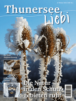Thunersee Liebi 4/15 - A WEBER VERLAG