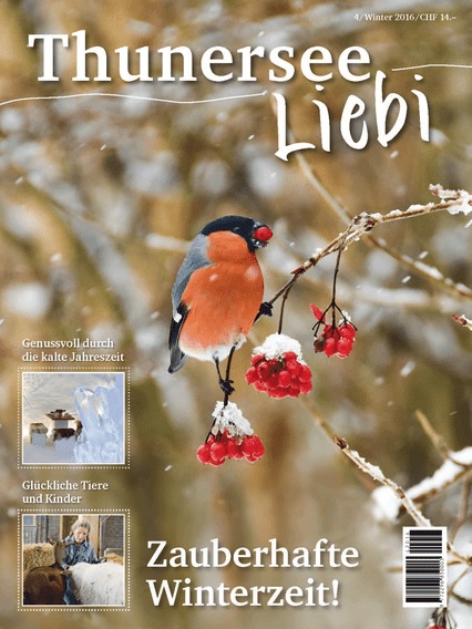 Thunersee Liebi 4/16 - A WEBER VERLAG