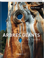 Michel Brunner: Arbres géants de Suisse - WEBER VERLAG