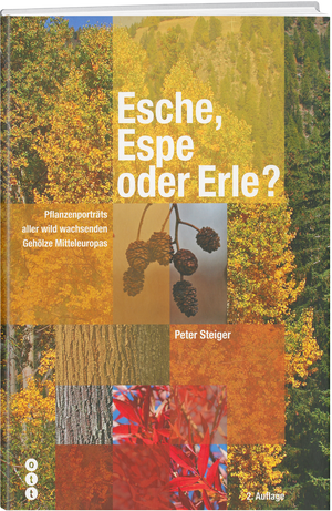 Peter Steiger | Esche, Espe oder Erle (Hauptband) - • WEBER VERLAG