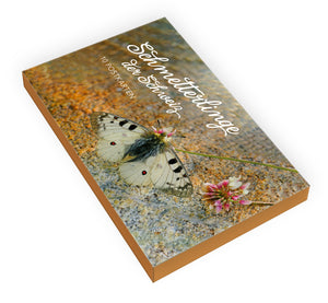Postkartenset Schmetterlinge der Schweiz