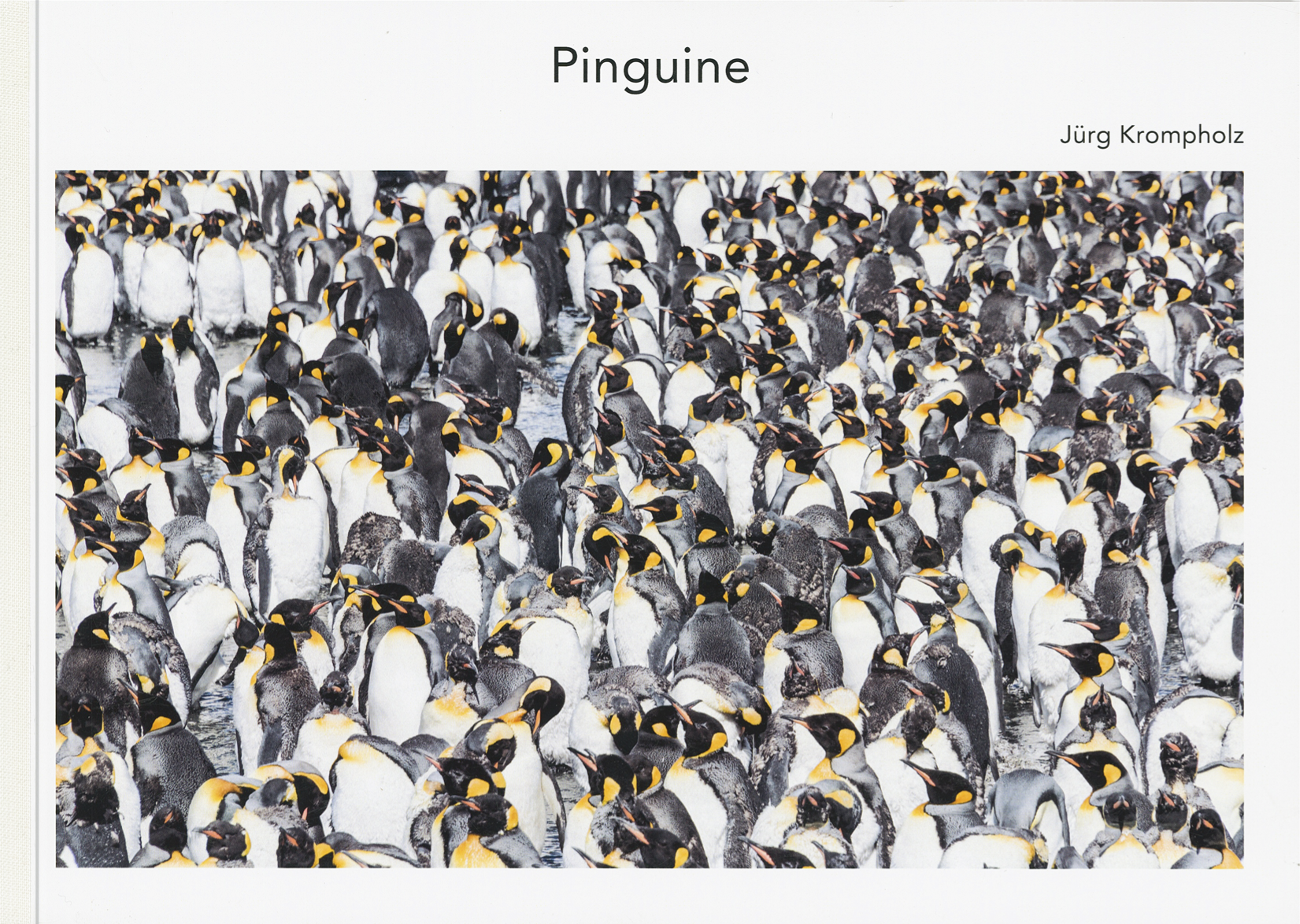 Jürg Krompholz: Pinguine - A WEBER VERLAG