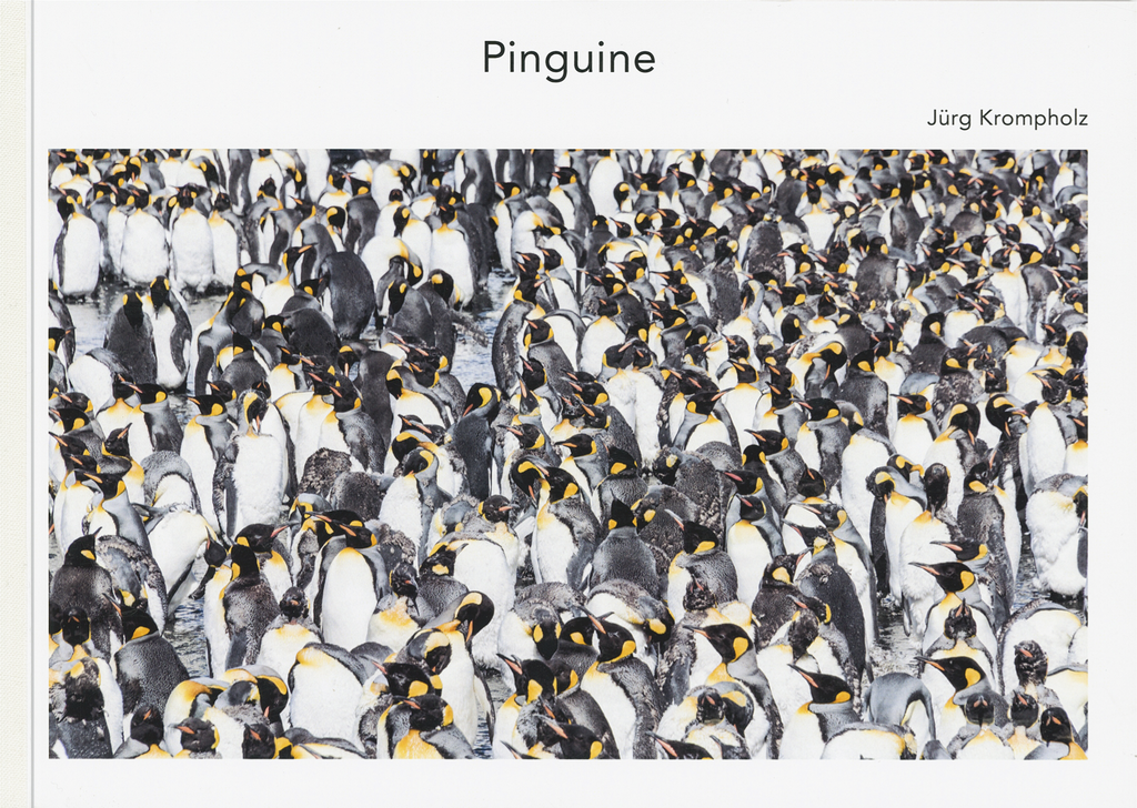 Jürg Krompholz: Pinguine - A WEBER VERLAG