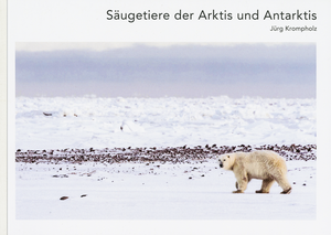 Jürg Krompholz: Säugetiere der Arktis und Antarktis - A WEBER VERLAG