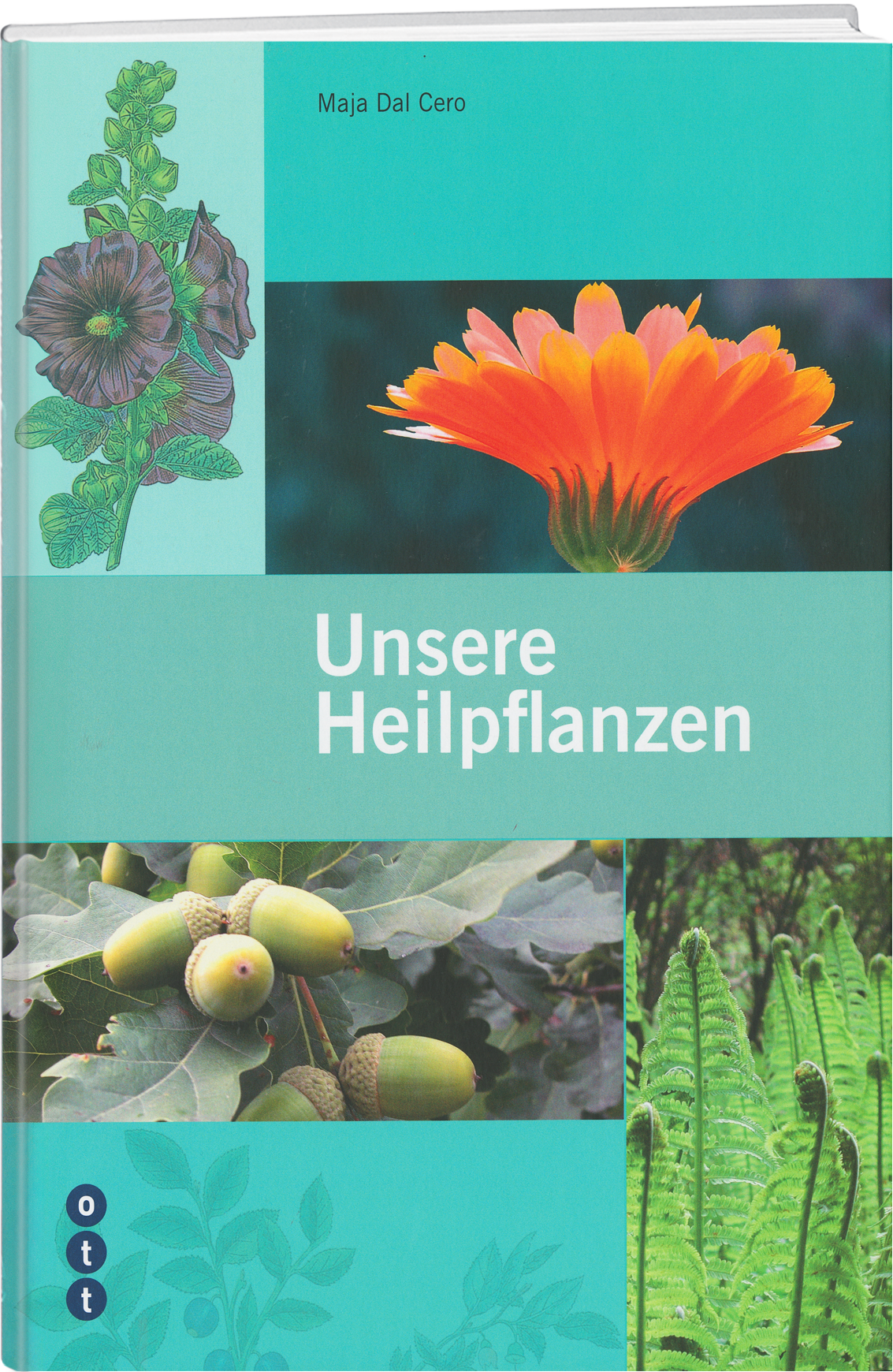 Maja Dal Cero | Unsere Heilpflanzen - • WEBER VERLAG