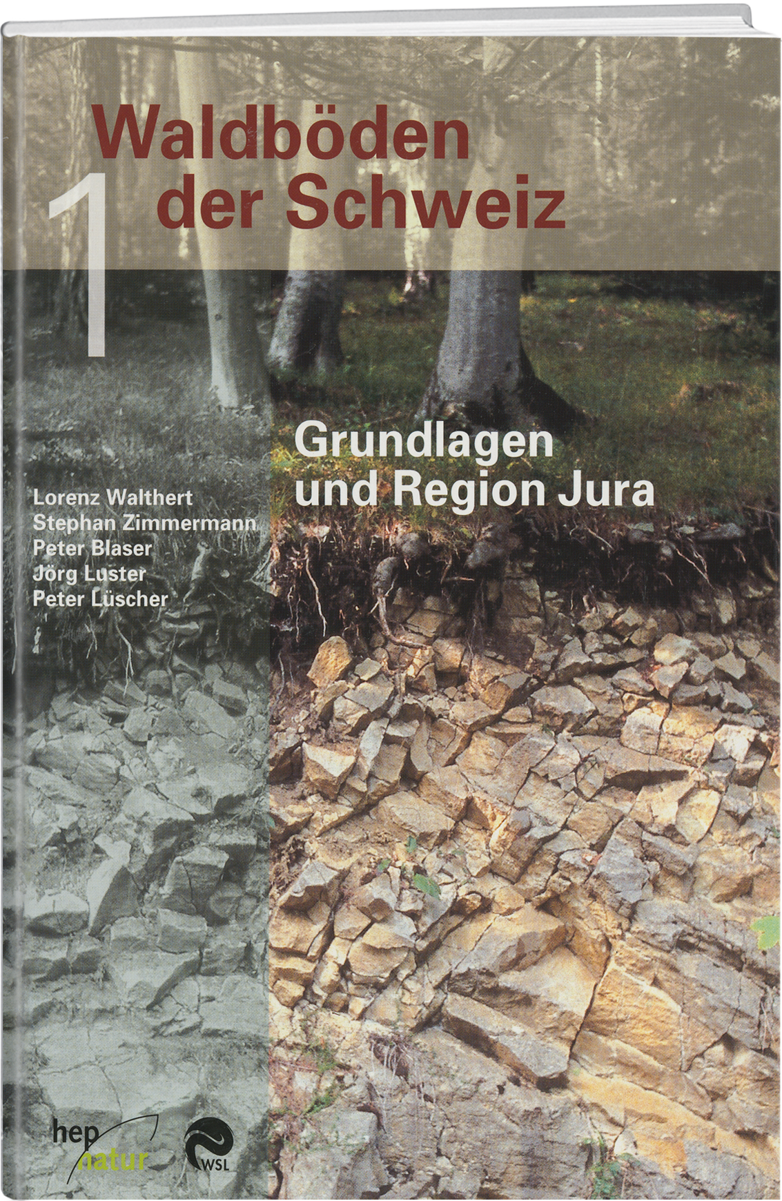 Div. Autoren | Waldböden der Schweiz 1 - • WEBER VERLAG