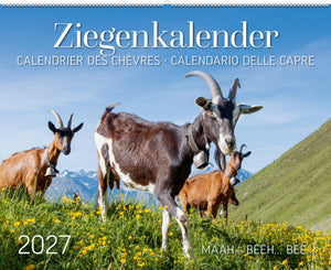 Ziegenkalender Määh … Bêêh … Bee ... 2027 - • WEBER VERLAG