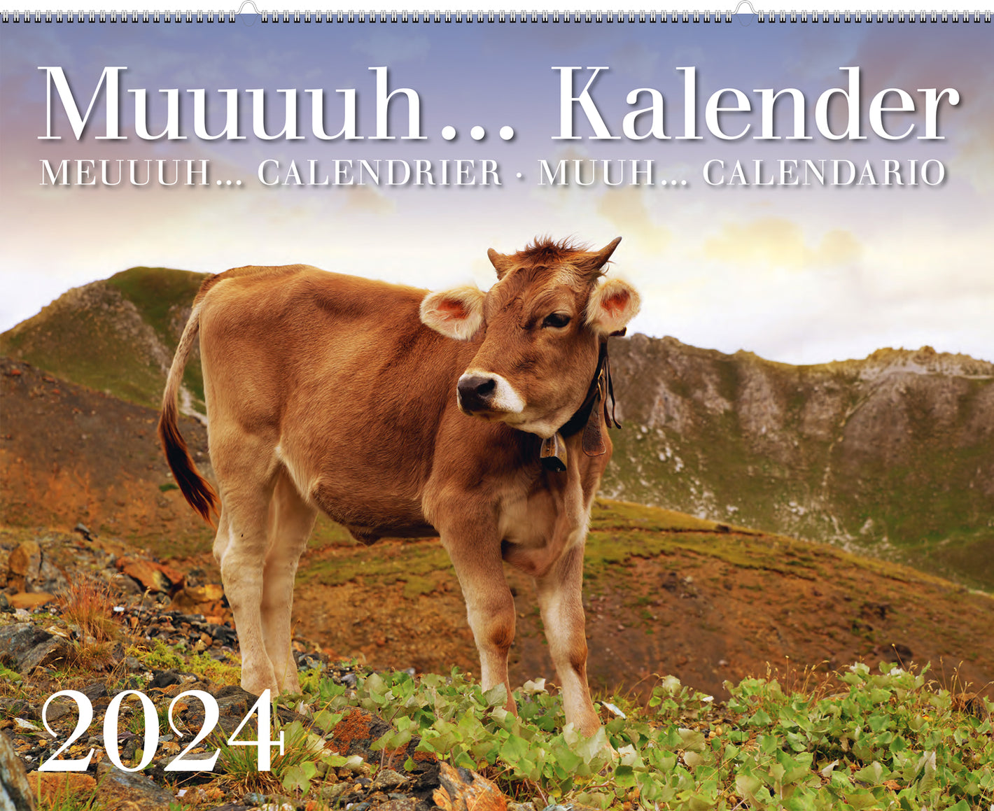 Muuuuh …  Kuhkalender 2024 - A WEBER VERLAG