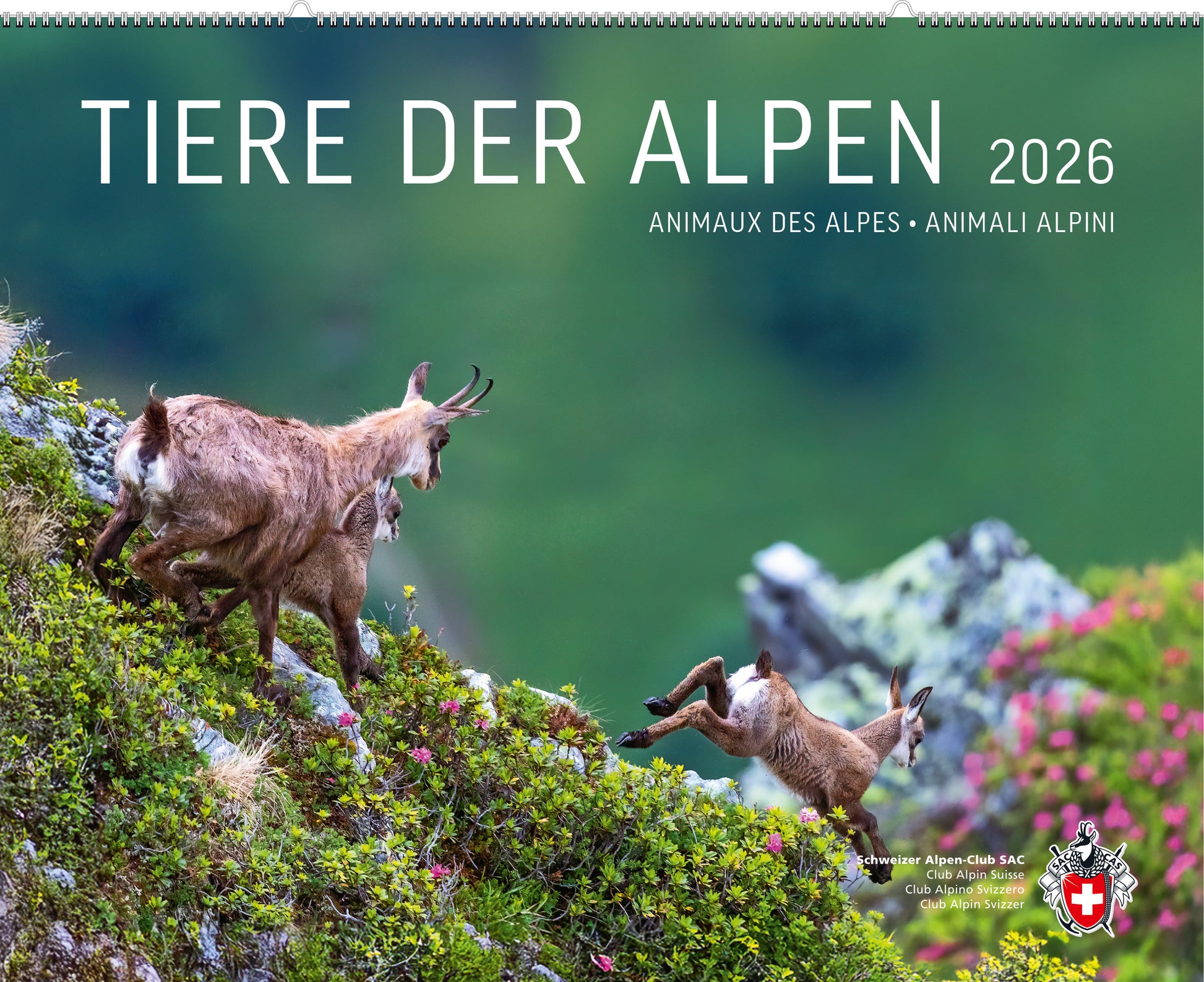 Tiere der Alpen – Kalender 2026 - • WEBER VERLAG