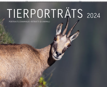 Tierporträts – Kalender 2024 - A WEBER VERLAG