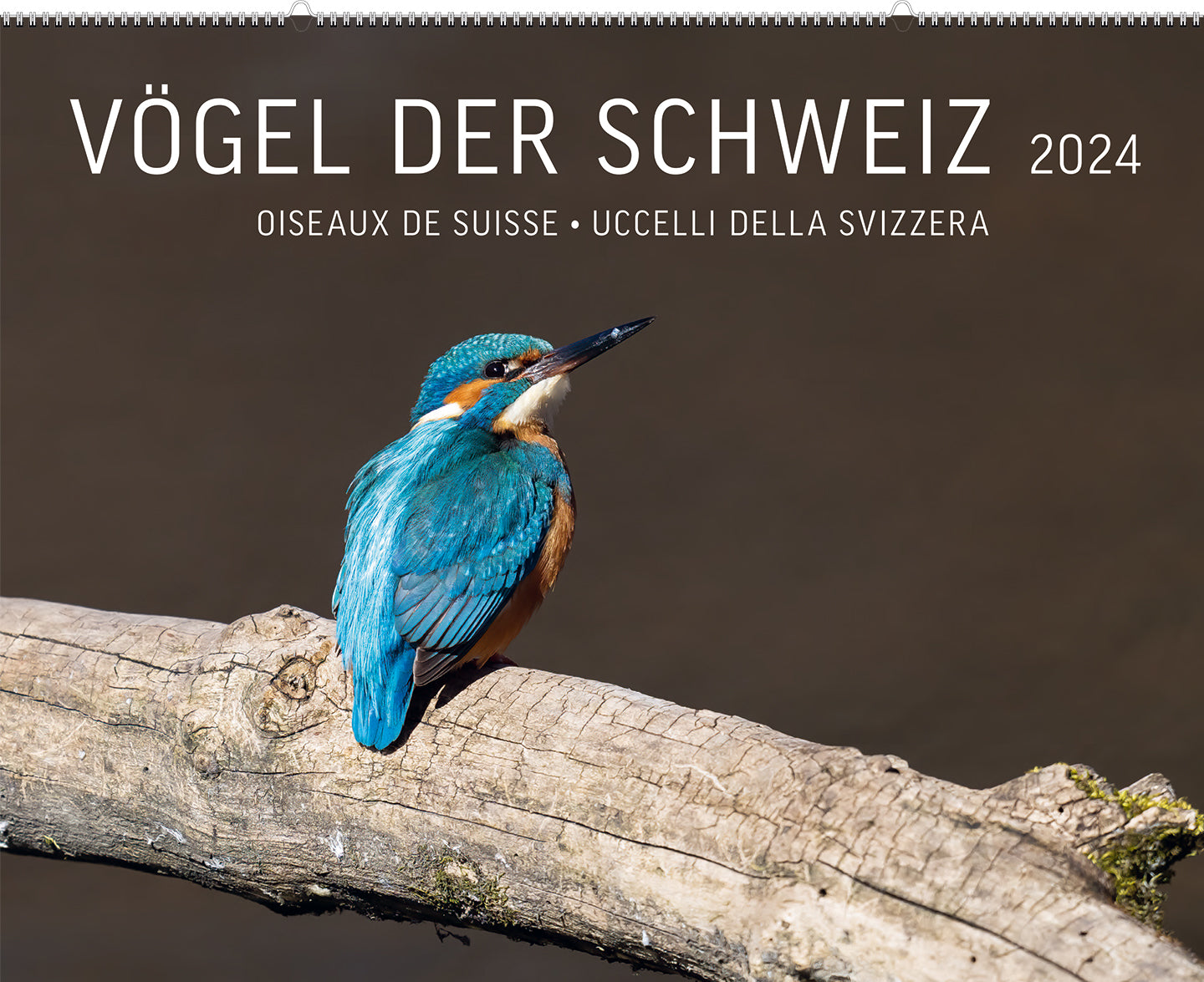 Vögel der Schweiz – Kalender 2024 - A WEBER VERLAG