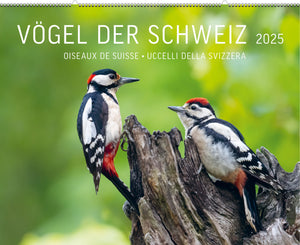 Vögel der Schweiz – Kalender 2025 - • WEBER VERLAG