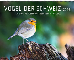 Vögel der Schweiz – Kalender 2026