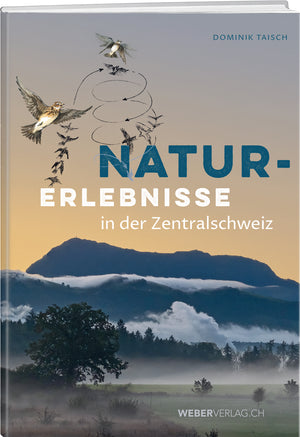 Dominik Taisch | Naturerlebnisse in der Zentralschweiz