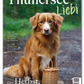 Einzelausgaben ThunerseeLiebi