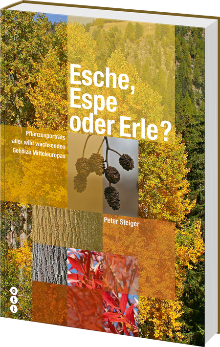 Peter Steiger | Esche, Espe oder Erle (Hauptband) - • WEBER VERLAG