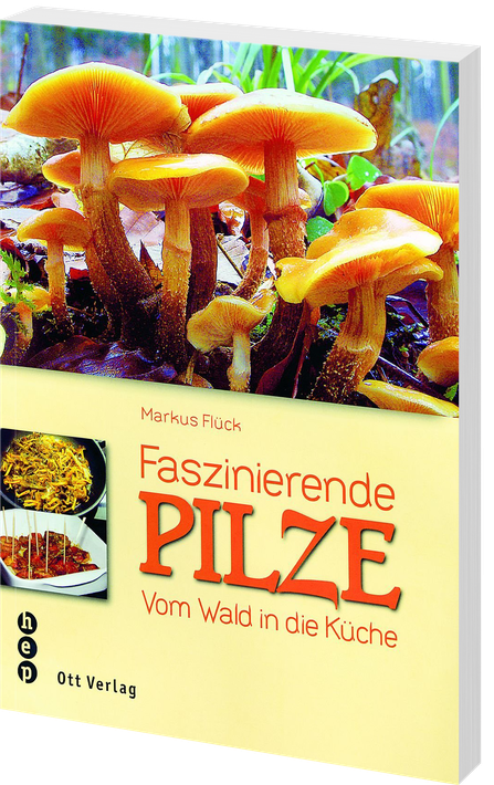 Markus Flück | Faszinierende Pilze - • WEBER VERLAG