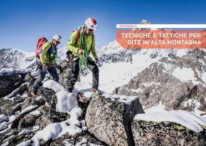 Tecniche e tattiche per gite in alta montagna - • WEBER VERLAG