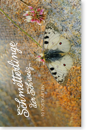 Postkartenset Schmetterlinge der Schweiz