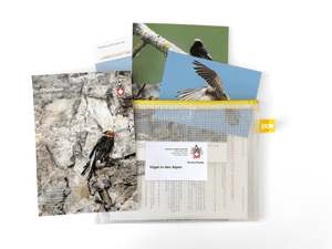 EnviroTool | Vögel der Alpen - • WEBER VERLAG