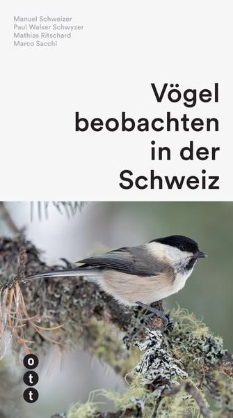 Manuel Schweizer Paul; Walser Schwyzer; Mathias Ritschard; Marco Sacchi | Vögel beobachten in der Schweiz - • WEBER VERLAG