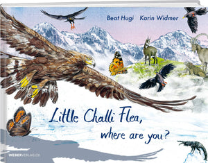 Div: Little Challi Flea, where are you? - A WEBER VERLAG