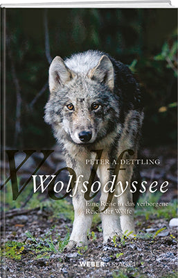 Peter A. Dettling: Wolfsodyssee - WEBER VERLAG