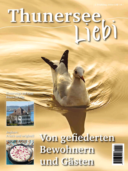 Thunersee Liebi 1/16 - A WEBER VERLAG