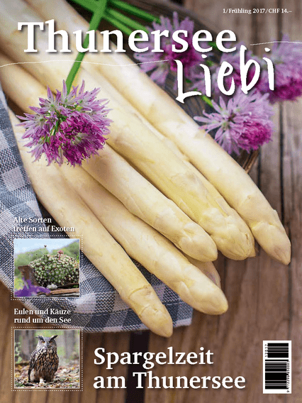 Thunersee Liebi 1/17 - A WEBER VERLAG
